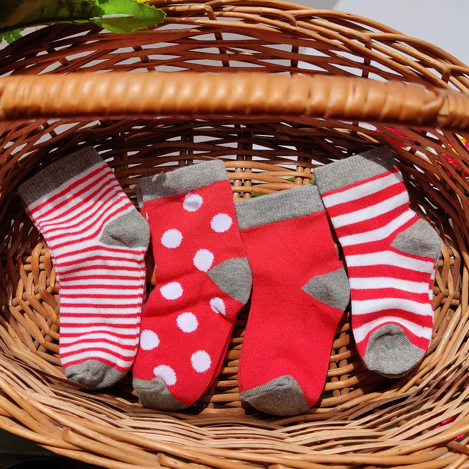 FOOTPRINTS Organic cotton Baby Socks -12-24Months - Pack of 4 Pairs - Image 2